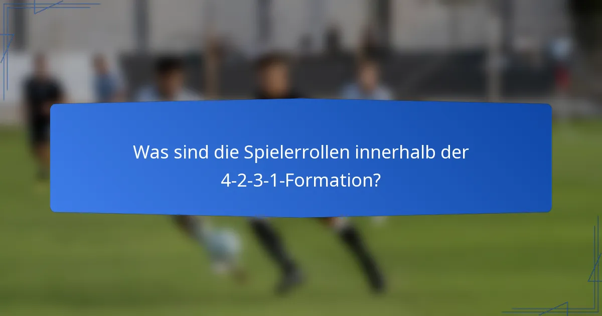 Was sind die Spielerrollen innerhalb der 4-2-3-1-Formation?