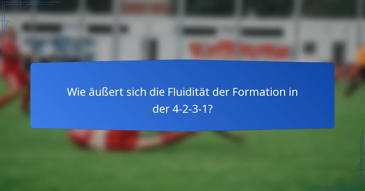 Wie äußert sich die Fluidität der Formation in der 4-2-3-1?